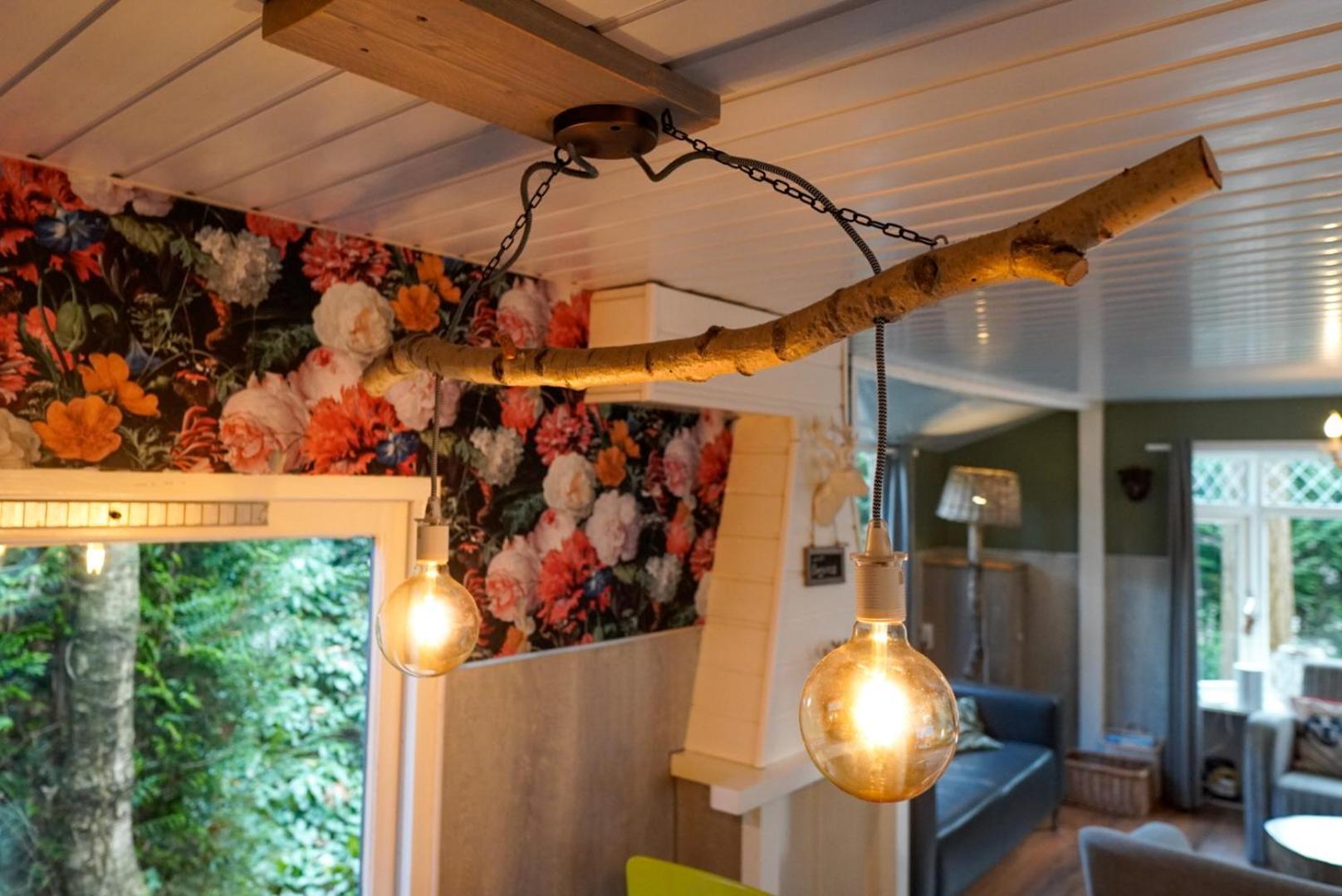 Chalet Hoenderloo Beuk Экстерьер фото